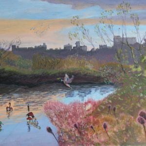Arundel Wetlands Centre painting