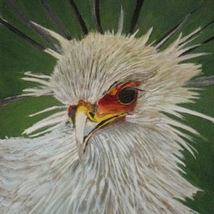 Painting of Secretary Bird Head