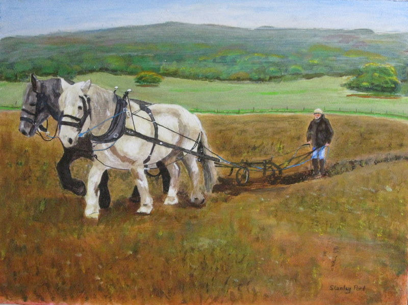 Ploughing by Horse at Singleton